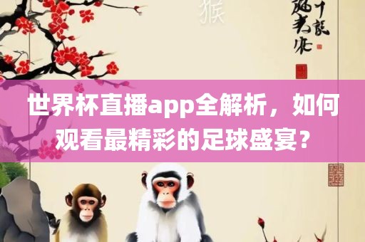 世界杯直播app全解析，如何观看最精彩的足球盛宴？