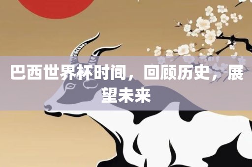 巴西世界杯时间，回顾历史，展望未来眉山市正发家政服务有限公司