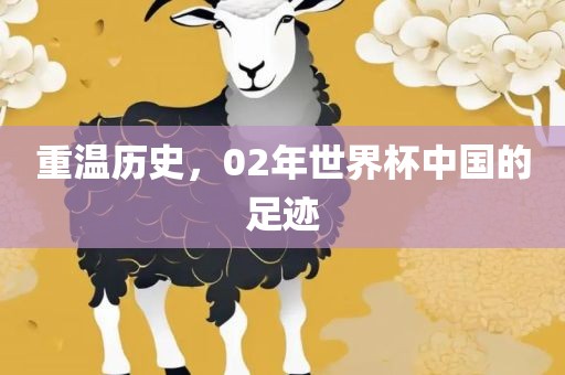 重温历史，02年世界杯中国的足迹眉山市正发家政服务有限公司