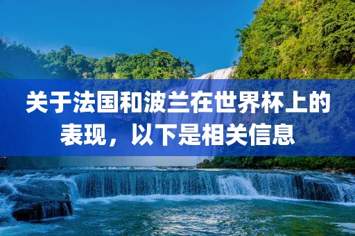 关于法国和波兰在世界杯上的表现，以下是相关信息
