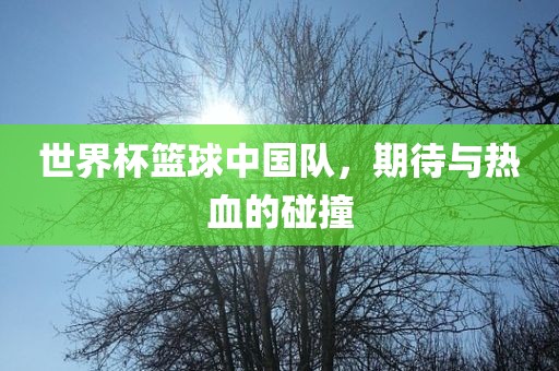 世界杯篮球中国队，期待与热血的碰撞眉山市正发家政服务有限公司