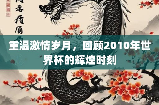 重温激情岁月，回顾2010年世界杯的辉煌时刻眉山市正发家政服务有限公司