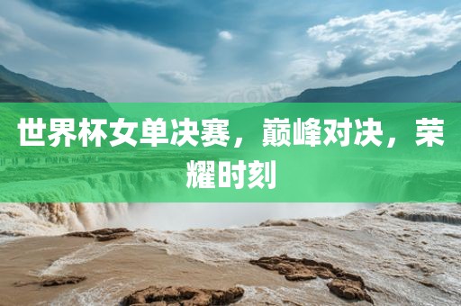 世界杯女单决赛，巅峰对决，荣耀时刻