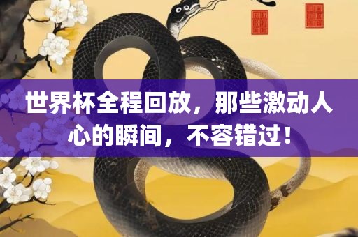 世界杯全程回放，那些激动人心的瞬间，不容错过！