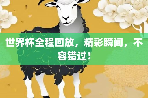 世界杯全程回放，精彩瞬间，不容错过！