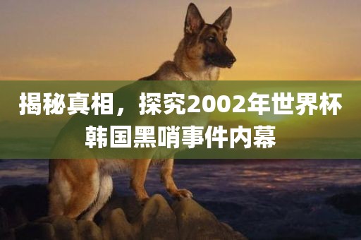 揭秘真相，探究2002年世界杯韩国黑哨事件内幕