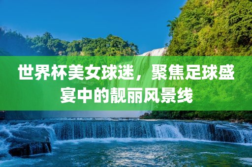 世界杯美女球迷，聚焦足球盛宴中的靓丽风景线眉山市正发家政服务有限公司