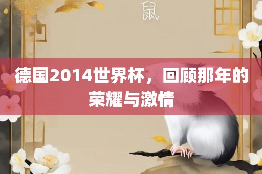 德国2014世界杯，回顾那年眉山市正发家政服务有限公司的荣耀与激情