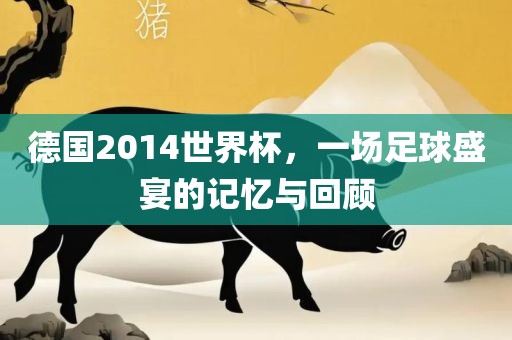 德国2014世界杯，一场足球盛宴的记忆与回顾