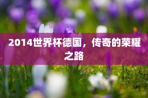 2014世界杯德国，传奇的荣耀之路