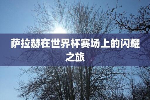 萨拉赫在世界杯赛场上的闪耀之旅眉山市正发家政服务有限公司