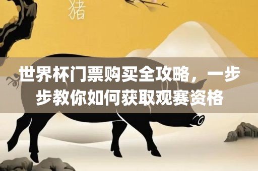 世界杯门票购买全攻略，一步步教你如何获取观赛资格