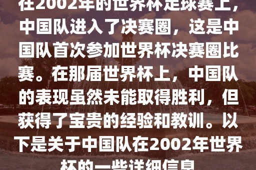在2002年的世界杯足球赛上，中国队进入了决赛圈，这是中国队首次参加世界杯决赛圈比赛。在那届世界杯上，中国队的表现虽然未能取得胜利，但获得了宝贵的经验和教训。以下是关于中国队在2002年世界杯的一些详细信息