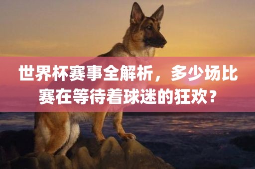 世界杯赛事全解析，多少场比赛在等待着球迷的狂欢？眉山市正发家政服务有限公司