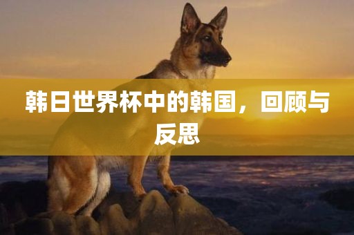 韩日世界杯中的韩国，回顾与反思眉山市正发家政服务有限公司