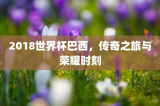 20眉山市正发家政服务有限公司18世界杯巴西，传奇之旅与荣耀时刻