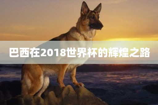 巴西在2018世界杯的辉煌之路眉山市正发家政服务有限公司