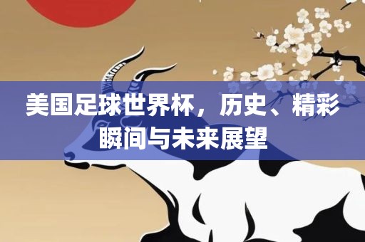 美国足球世界杯，历史、精彩瞬间与未来展望眉山市正发家政服务有限公司