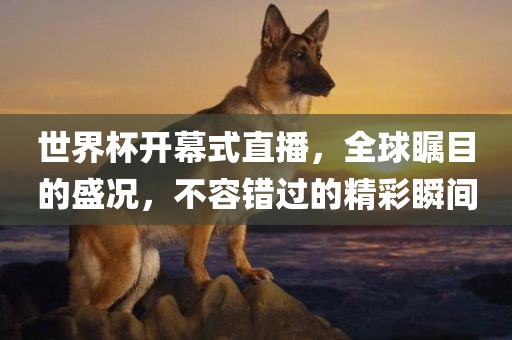 世界杯开幕式直播，全球瞩目的盛况，不容错过的精彩瞬间