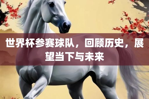 世界杯参赛球队，回顾历史，展望当下与未来眉山市正发家政服务有限公司