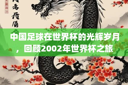 中国足球在世界杯的光辉岁月，回顾2002年世界杯之旅眉山市正发家政服务有限公司