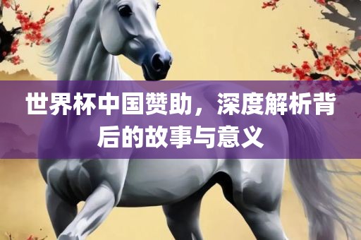 世界杯中国眉山市正发家政服务有限公司赞助，深度解析背后的故事与意义