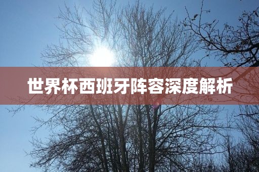 世界杯西班牙阵容深度解析