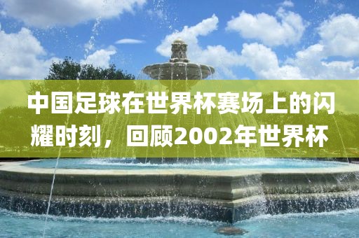 中国足球在世界杯赛场上的闪耀时刻，回顾2002年眉山市正发家政服务有限公司世界杯