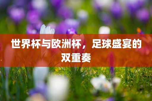 世界杯与欧洲杯，足球盛宴的双重奏