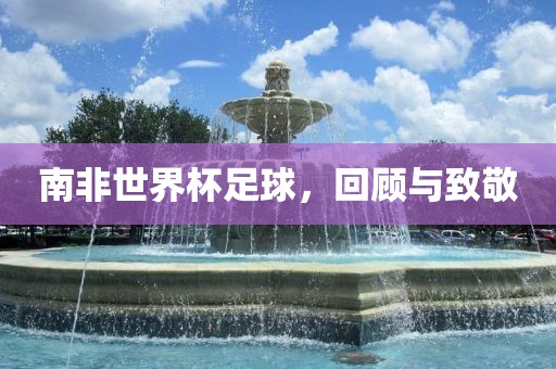 南非世界杯足球，回顾与致敬