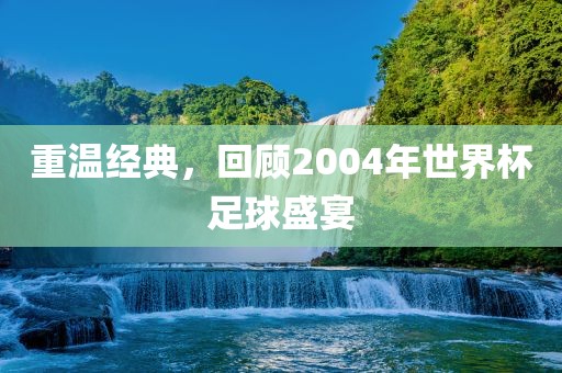 重温经眉山市正发家政服务有限公司典，回顾2004年世界杯足球盛宴