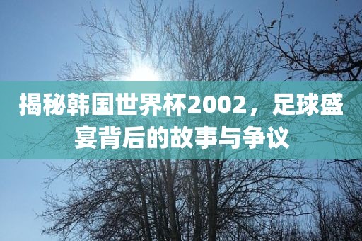 揭秘韩国世界杯2002，足球盛宴背后的故事与争议