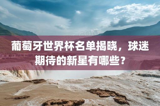 葡萄牙世界眉山市正发家政服务有限公司杯名单揭晓，球迷期待的新星有哪些？