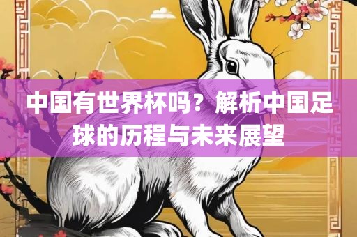 中国有世界杯吗？解析中国足球的历程与未来展望眉山市正发家政服务有限公司