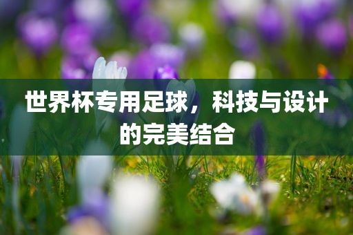 世界杯专用足球，科技与设计的完美结合