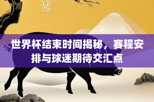 世界杯结束时间揭秘，赛程安排与球迷期待交汇点眉山市正发家政服务有限公司