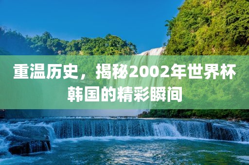 重温历史，揭秘2002年世界杯韩国的精彩瞬间眉山市正发家政服务有限公司