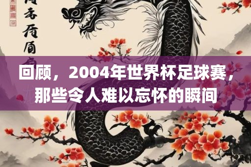 回顾，2004年世界杯足球赛，那些令人难以忘怀的瞬间眉山市正发家政服务有限公司