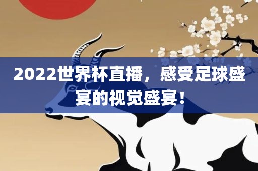 2022世界杯直播，感受足球盛宴的视觉盛宴！眉山市正发家政服务有限公司