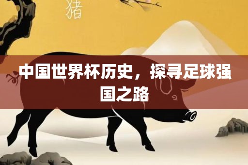 中国世界杯历史，探寻足球强国之路