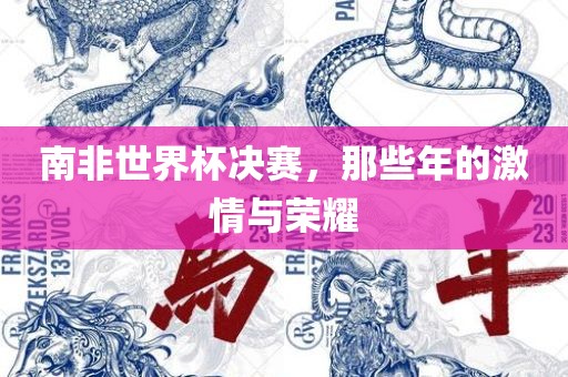 南非世界杯决赛，那些年的激情与荣耀