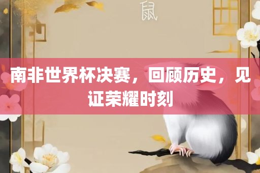 南非世界杯决赛，回顾历史，见证荣耀时刻