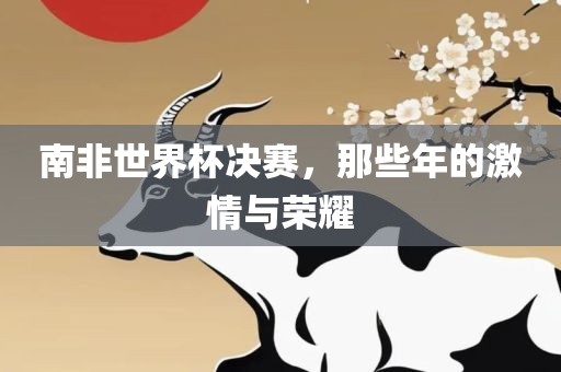 南非世界杯决赛，那些年的激情与荣耀