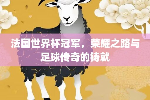 法国世界杯冠军，荣耀之路与足球传奇的铸就