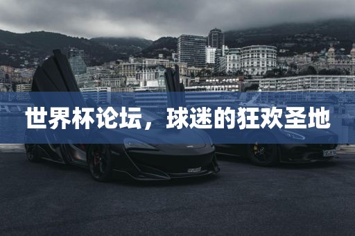 世界杯论坛，球迷的狂欢圣地眉山市正发家政服务有限公司