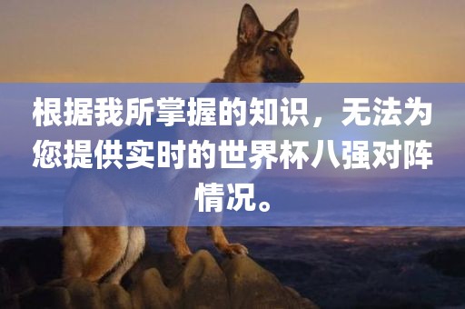 根据我所掌握的知识，无法为您提供实时的世界杯八强对阵情况。