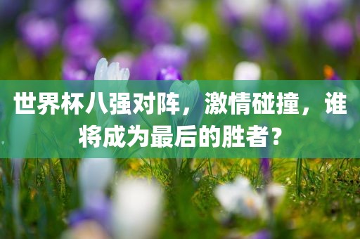 世界杯八强对阵，激情碰撞，谁将成为最后的胜者？