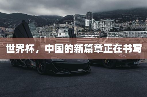 世界杯，中国的新篇章正在书写眉山市正发家政服务有限公司