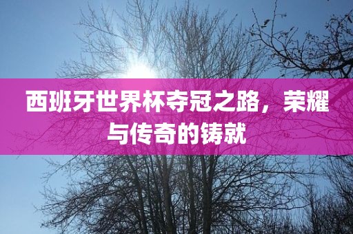 西班牙世界杯夺冠之路，荣耀与传奇的铸就