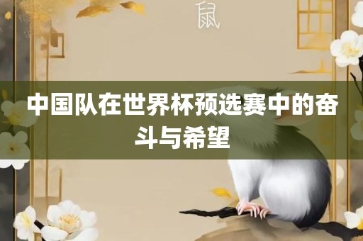 中国队在世界杯预选赛中的奋斗与希望眉山市正发家政服务有限公司